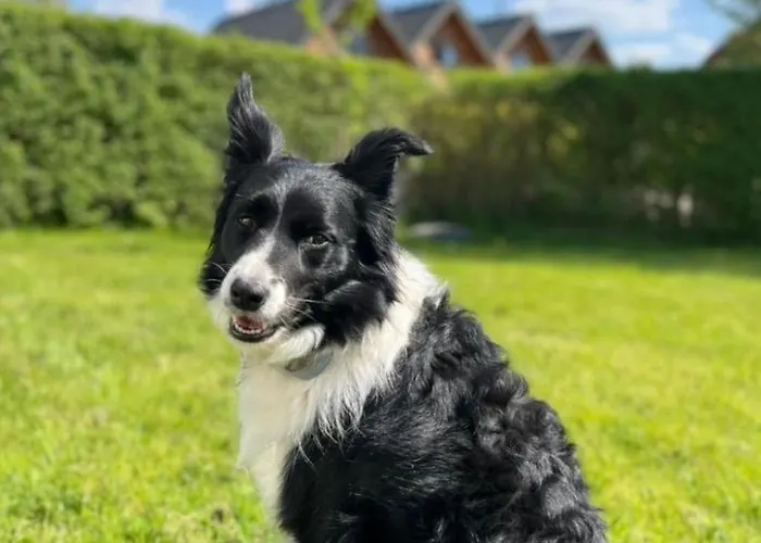 別荘 Dom3 Mit Garten- Grill Und Terrasse By Interhome サルビノボ